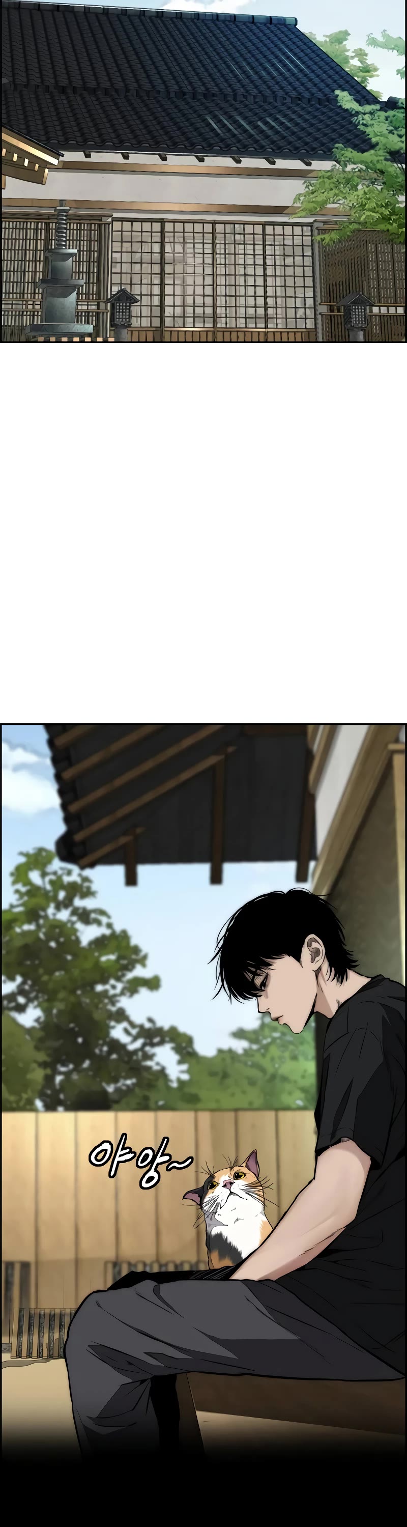 Wind Breaker Chapter 462 page 74 - Chapter 462