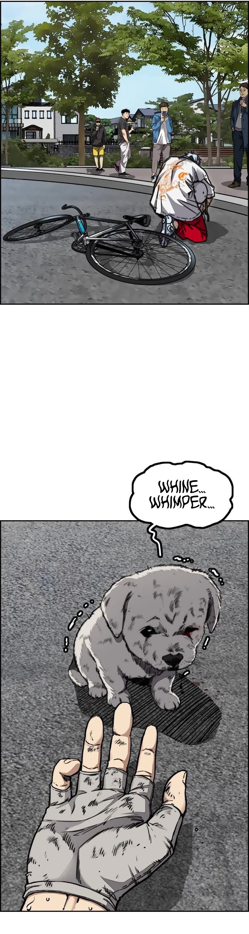 Wind Breaker Chapter 482 page 66 - Chapter 482