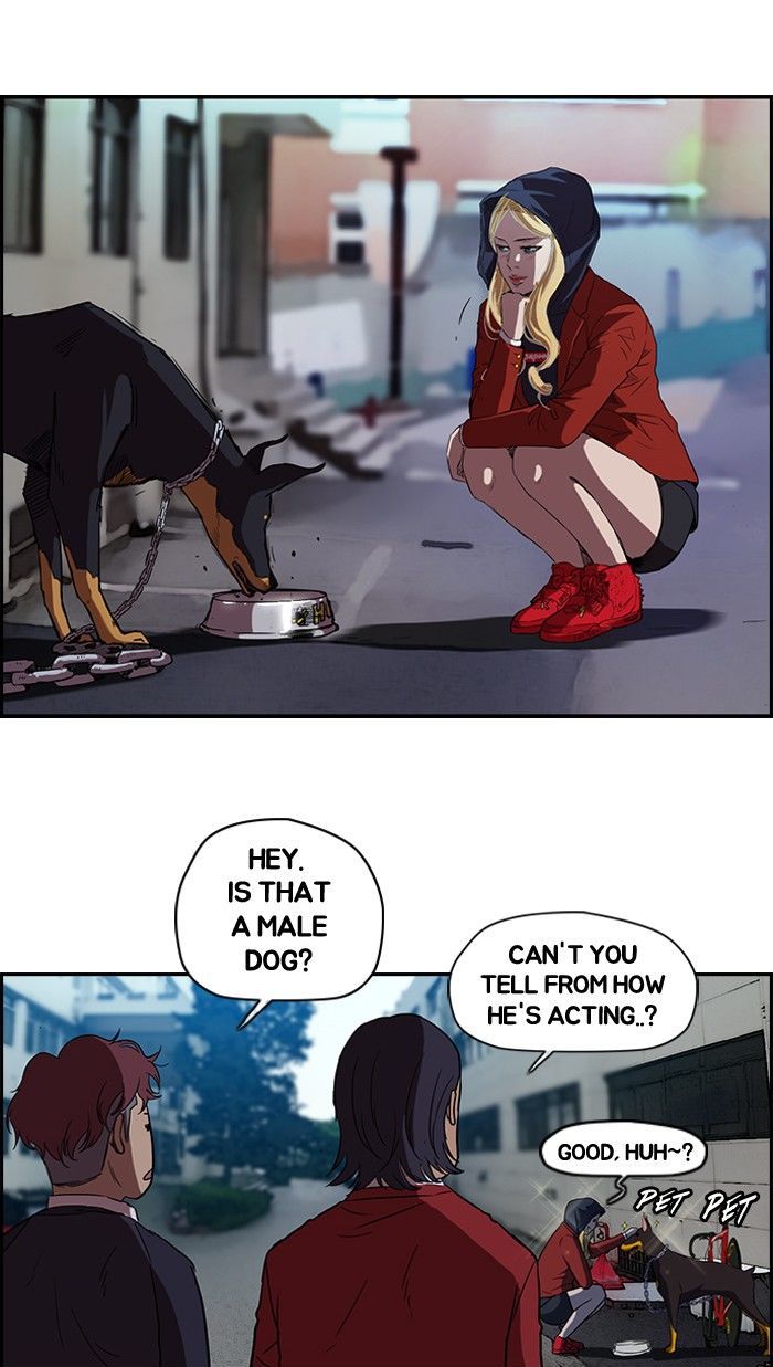 Wind Breaker Chapter 61 page 21 - Chapter 61