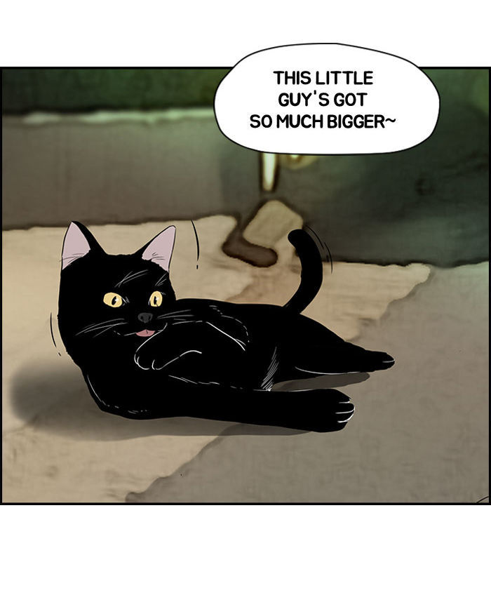 Wind Breaker Chapter 65.5 page 7 - Chapter 65.5 : The Special Episode