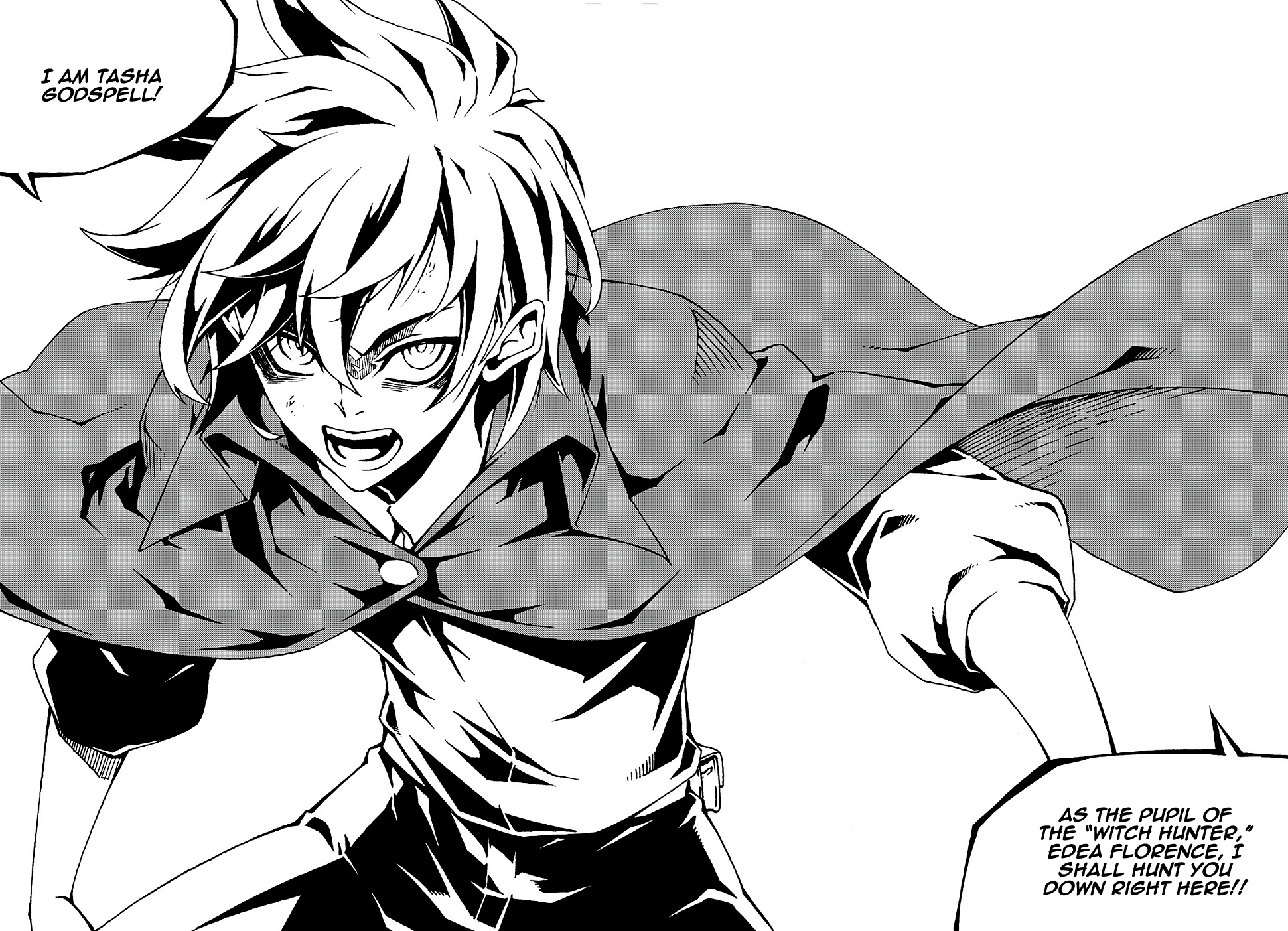 Witch Hunter Chapter 155 page 13 - Chapter 155: My Name Is...