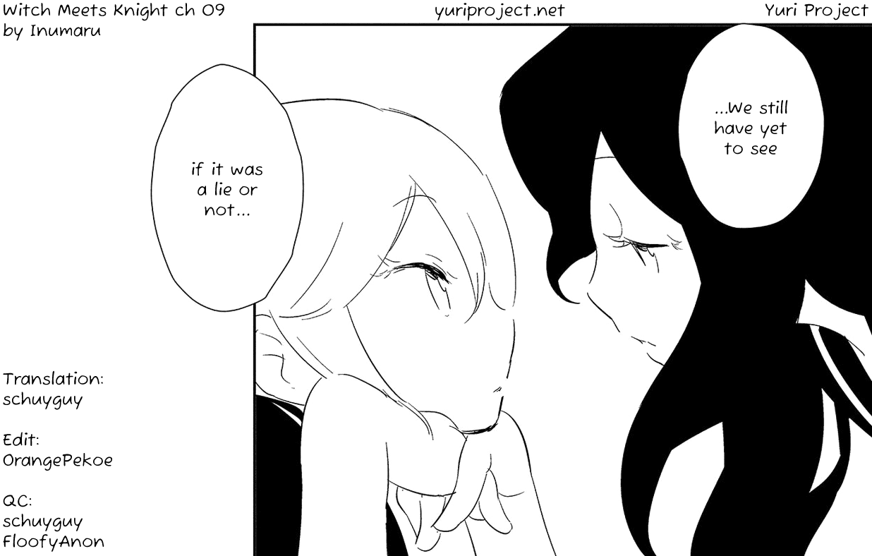 Witch Meets Knight Chapter 9 page 17 - Chapter 9: Little White Lie