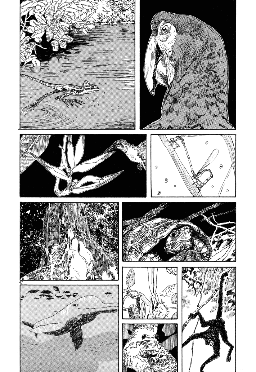 Witches Chapter 3 page 47 - Chapter 3