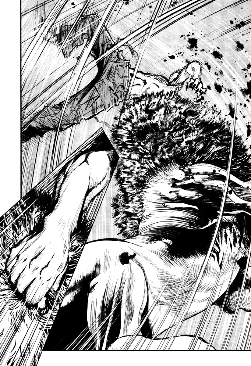 Wolf Guy - Ookami no Monshou Chapter 18 page 14 - Chapter 18: Confrontation