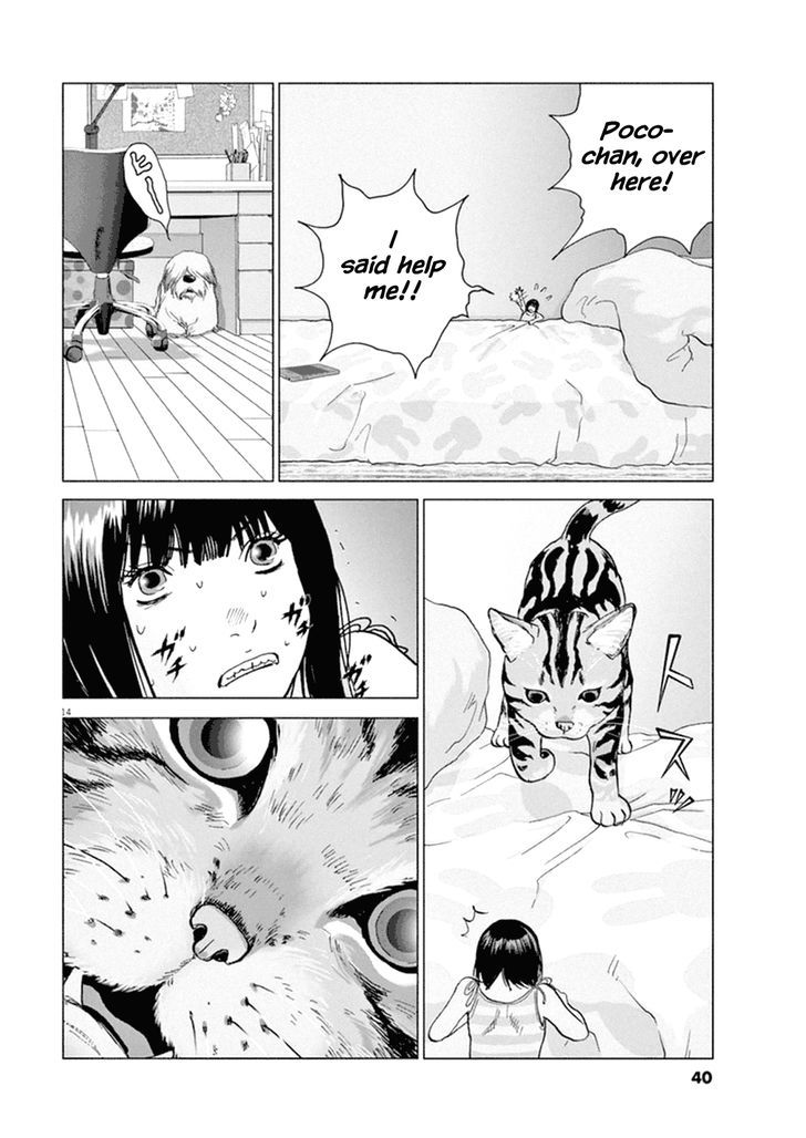 Wonder Land Chapter 2 page 12 - Chapter 2 : Never Ending Nightmare
