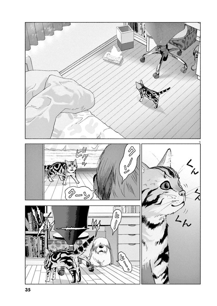 Wonder Land Chapter 2 page 8 - Chapter 2 : Never Ending Nightmare