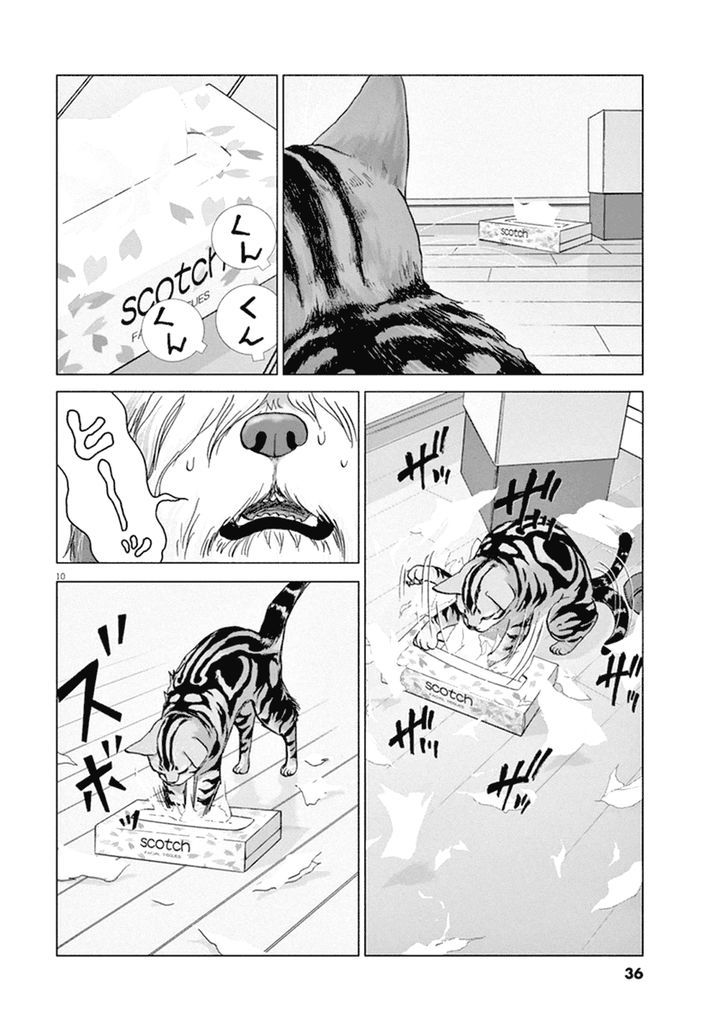Wonder Land Chapter 2 page 9 - Chapter 2 : Never Ending Nightmare