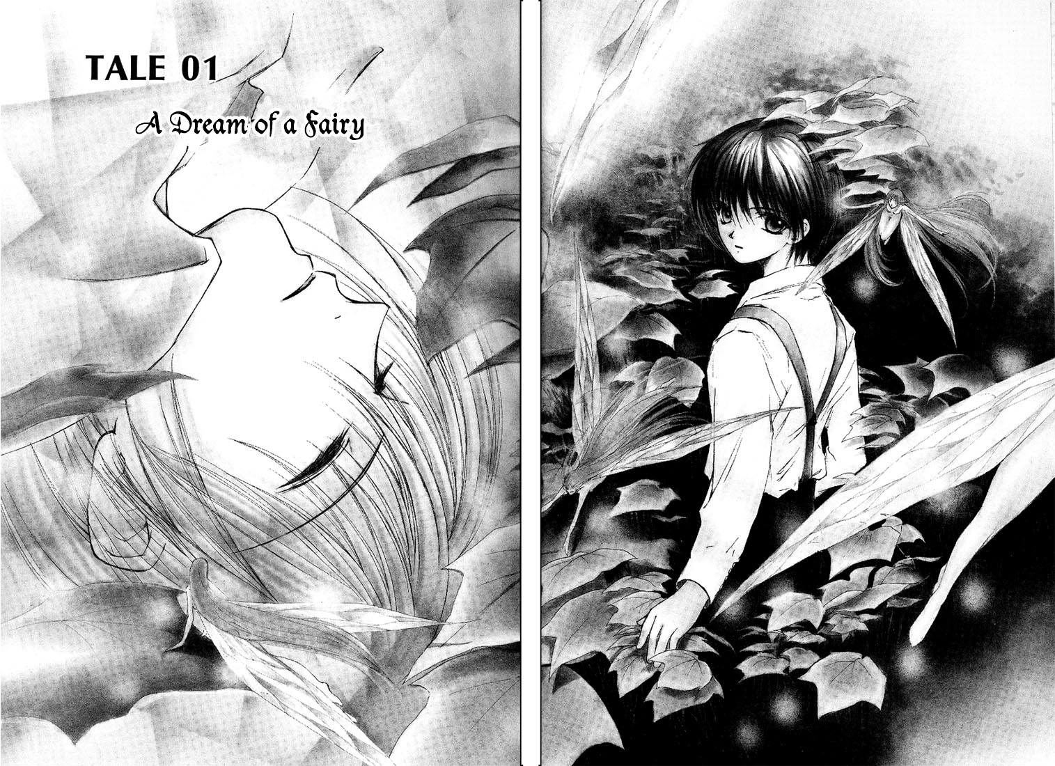 World End Fairytale Chapter 1 page 3 - Chapter 1: A Dream of a Fairy