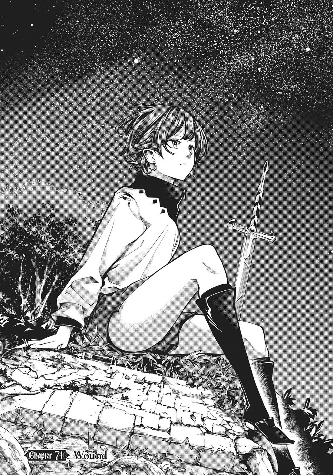 World's End Harem - Fantasia Chapter 71 page 2 - Chapter 71