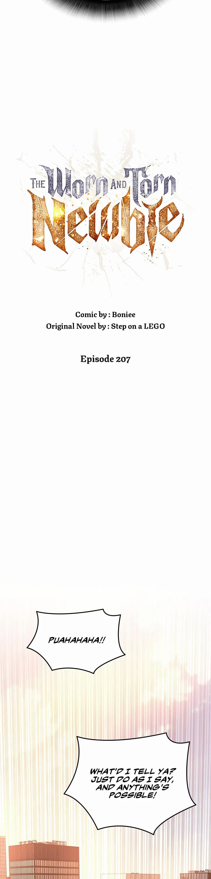 Worn and Torn Newbie Chapter 207 page 6 - Chapter 207