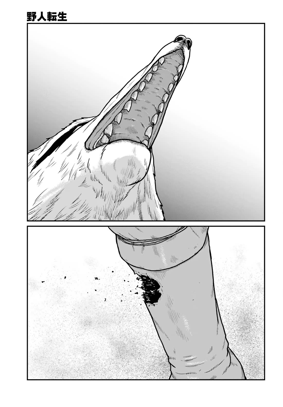 Yajin Tensei: Karate Survivor in Another World Chapter 64 page 3 - Chapter 64: Phantom Fox