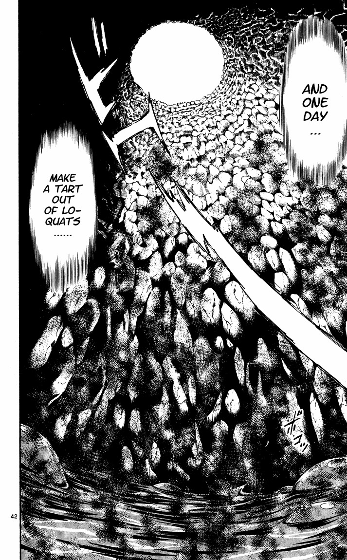 Yakitate!! Japan Chapter 84.5 page 41 - Chapter 84.5: The Tale of the [Yu] Biwa