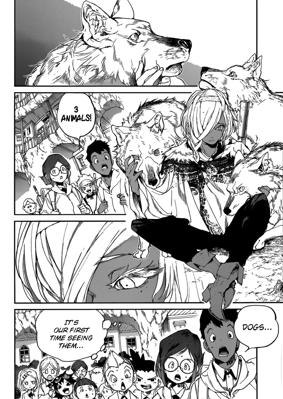 Yakusoku no Neverland Chapter 135 page 13 - Chapter 135: A Search