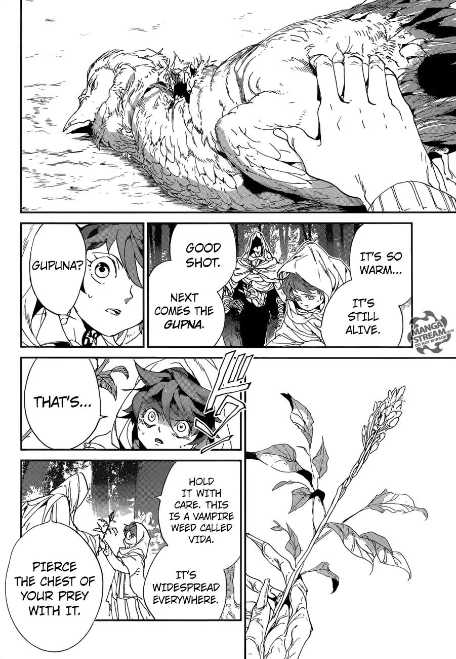 Yakusoku no Neverland Chapter 49 page 14 - Chapter 49: Teach Me
