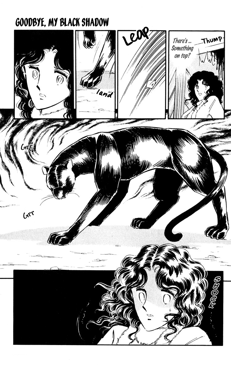 Yami no Purple Eye Chapter 47.2 page 35 - Chapter 47 v2 : Volume 12, Part 4: Goodbye, my black shadow [End]