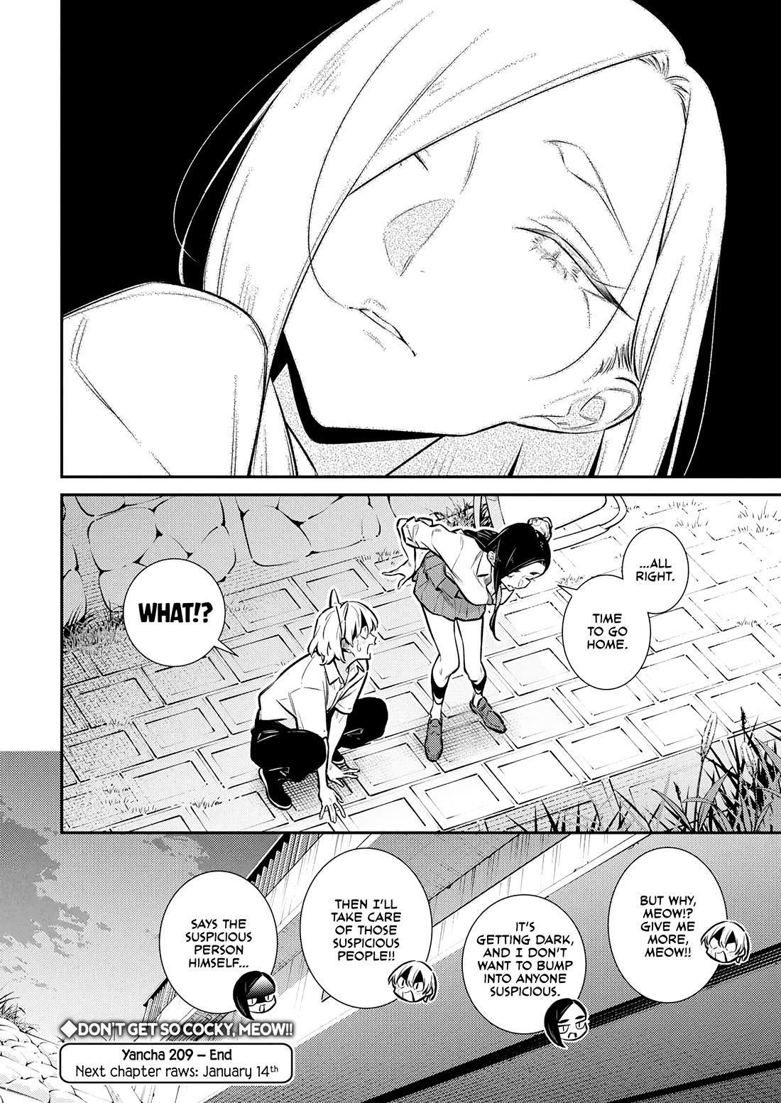 Yancha Gal no Anjou-san Chapter 214 page 13 - Chapter 214: Inuyama-kun Becomes a Cat