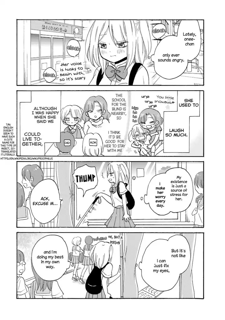 Yankee-kun and the White Cane Girl Chapter 14 page 8 - Chapter 14: Big sister