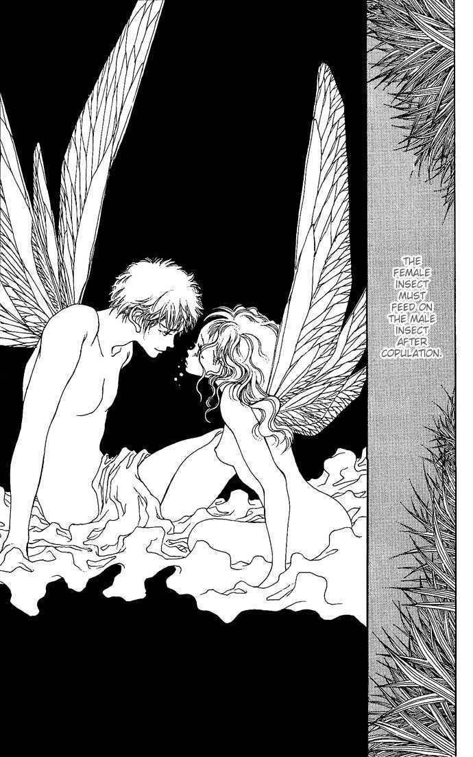 Yawarakai Kara Chapter 2 page 27 - Chapter 2: Falling in Love with the Sky