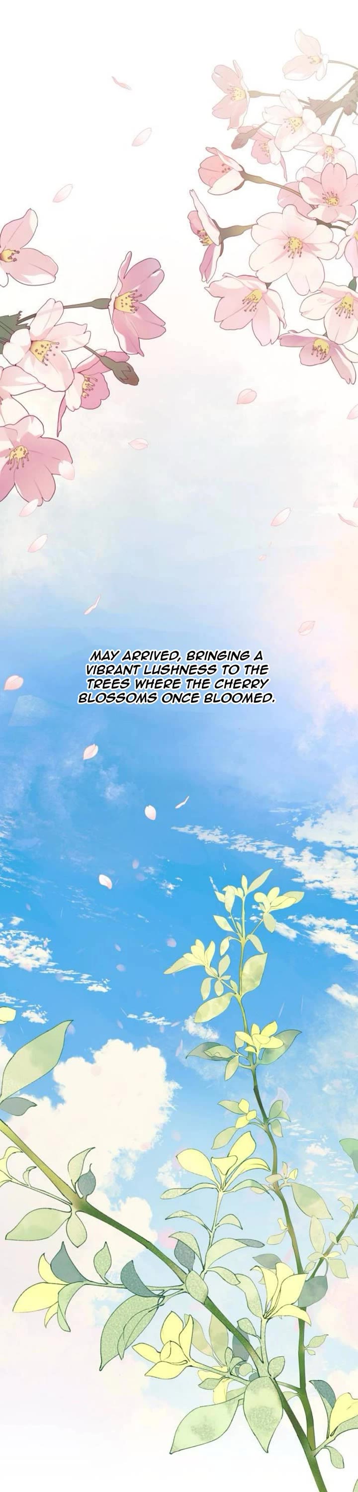 Yeonwoo's Innocence Chapter 219 page 1 - Chapter 219: SideStory 13