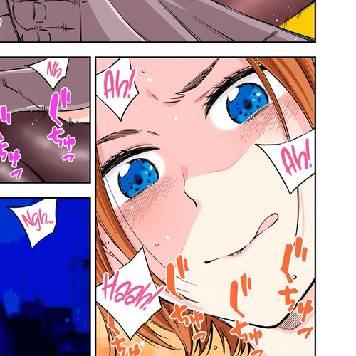 YJK's Unusual Affection Chapter 63.5: The Maiden’S Sundome cover