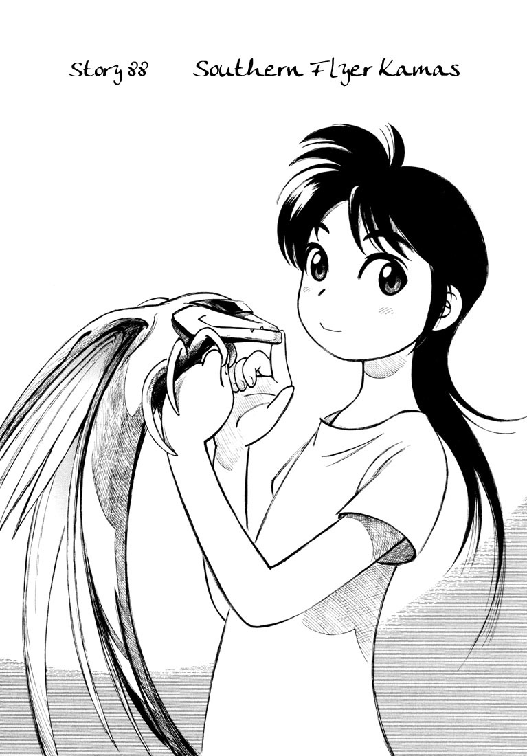 Yokohama Kaidashi Kikou Chapter 88 page 1 - Chapter 88: Southern Flyer Kamas