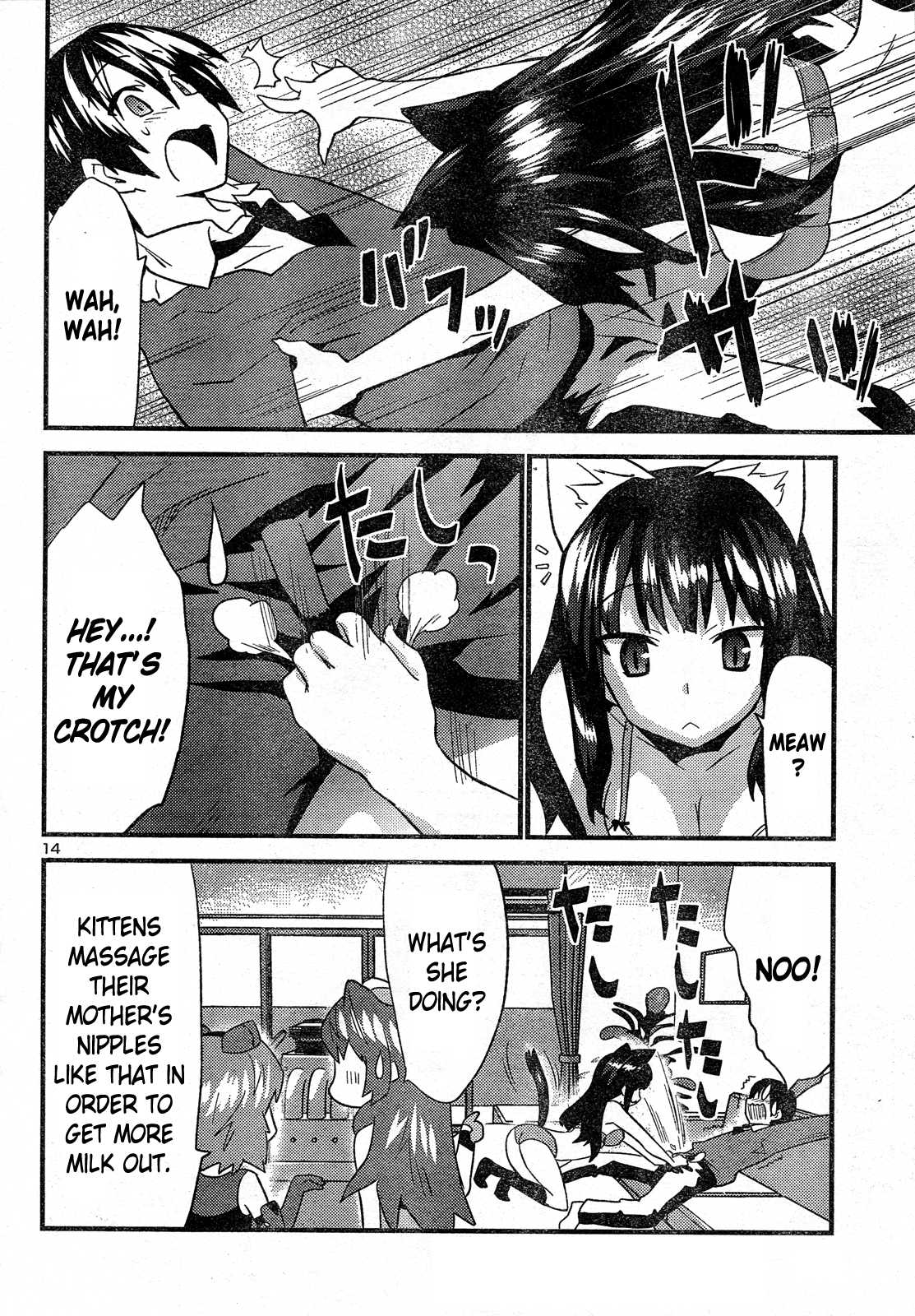 Yomeiro Choice Chapter 27 page 14 - Chapter 27: Eroi Neko Overrun