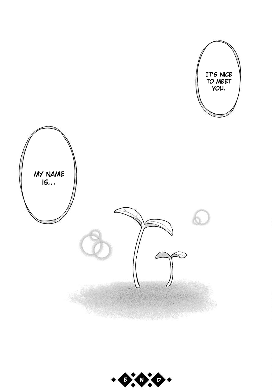 Yonakano Reijini Haremu Wo Chapter 34 page 33 - Chapter 34: A Harem For Yonakano Reiji [END]