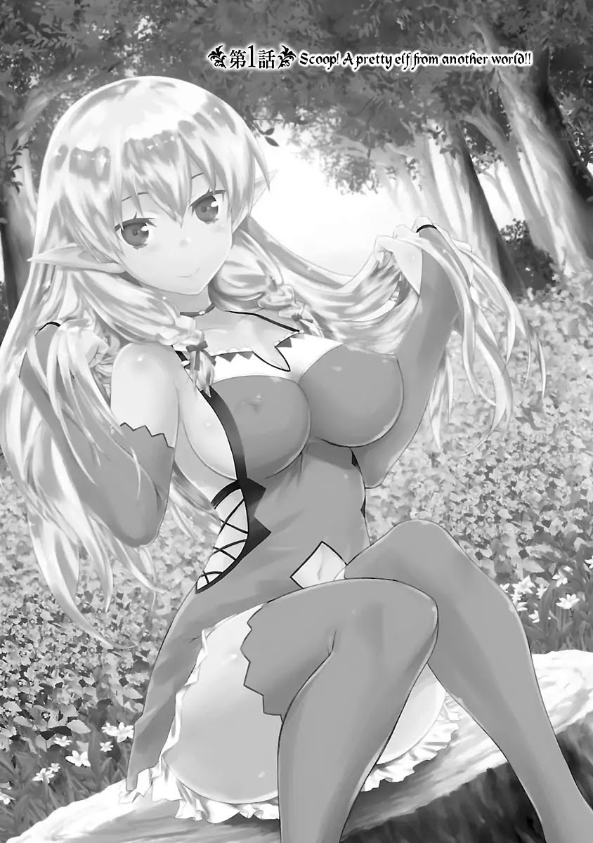 You Ain't Qualified Elf As I Need... Chapter 1 page 3 - Chapter 1: Scoop! A pretty Elf from another world!!