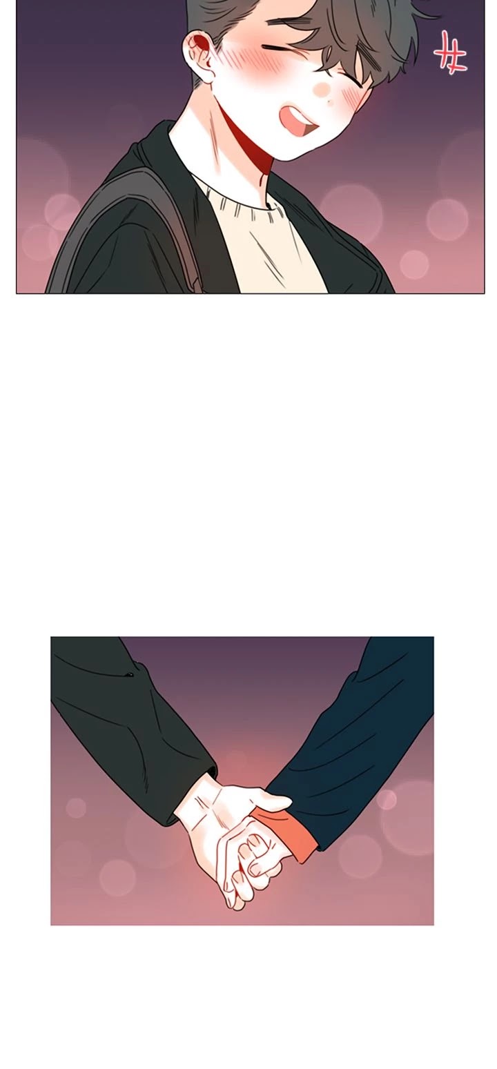 You At First Sight Chapter 91 page 41 - Chapter 91