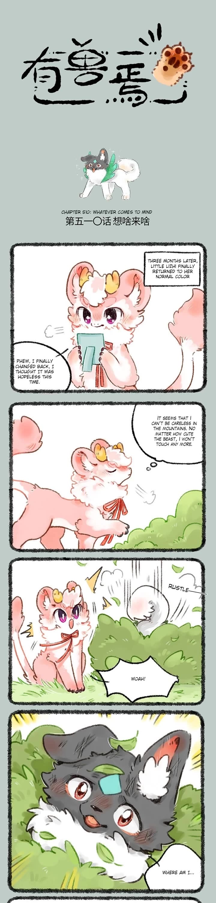 You Shou Yan Chapter 510 page 1 - Chapter 510: Whatever Comes to Mind/Tianma