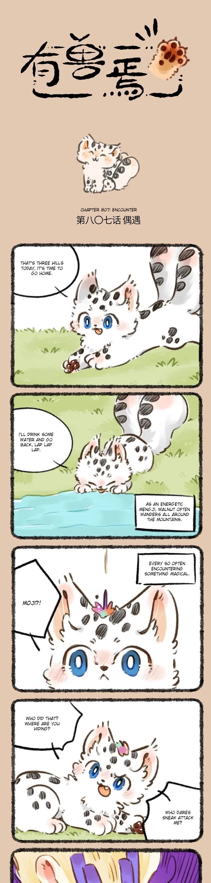 You Shou Yan Chapter 807 page 1 - Chapter 807: Encounter/Entrust