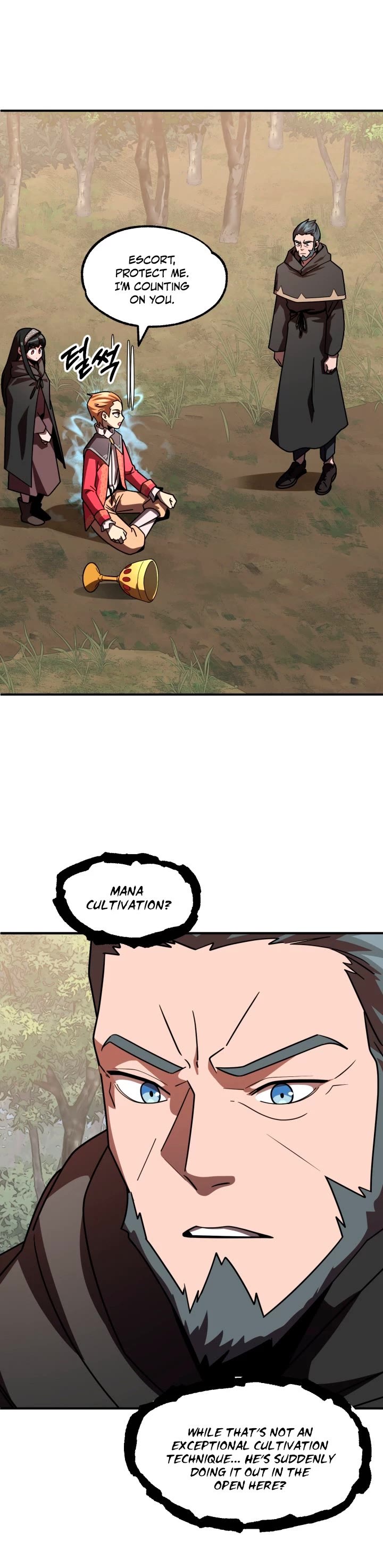 Youngest Scion of the Mages Chapter 17 page 12 - Chapter 17