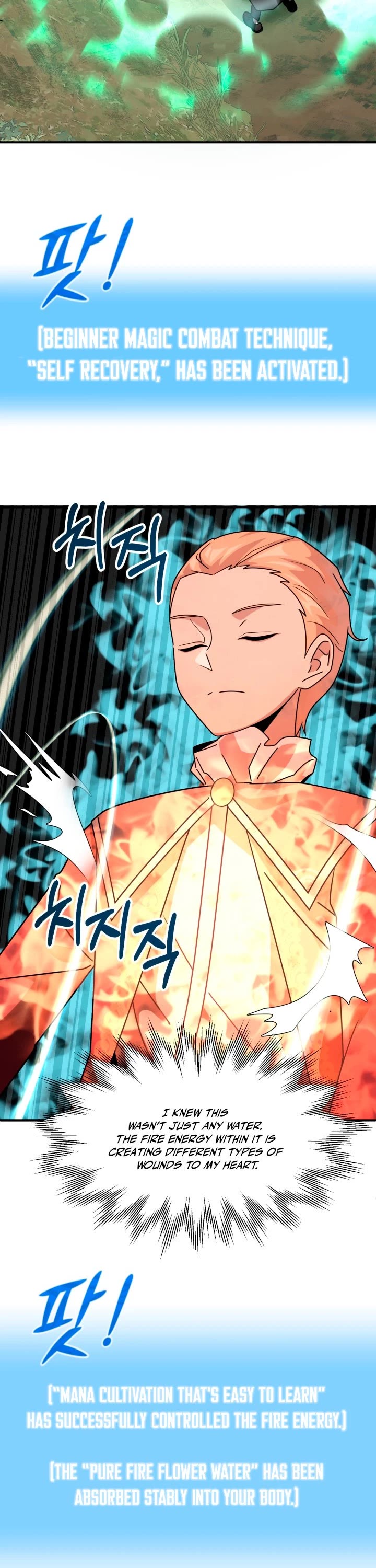 Youngest Scion of the Mages Chapter 17 page 15 - Chapter 17