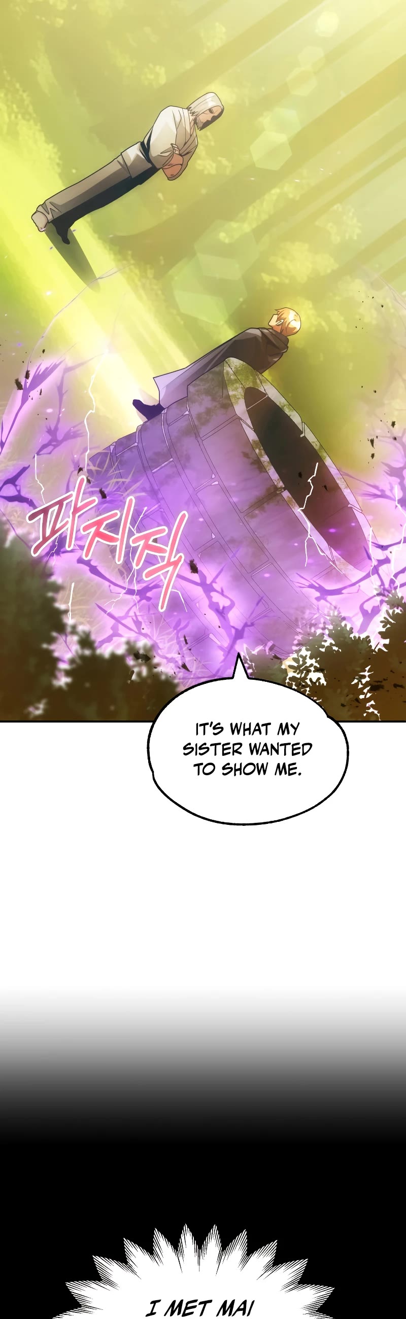 Youngest Scion of the Mages Chapter 40 page 19 - Chapter 40