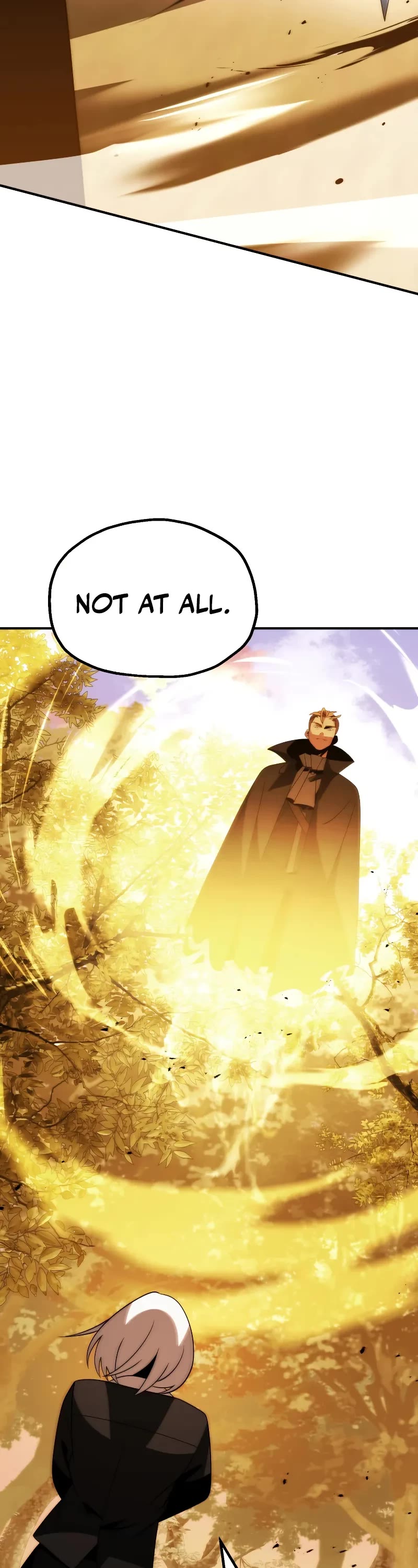 Youngest Scion of the Mages Chapter 88 page 19 - Chapter 88