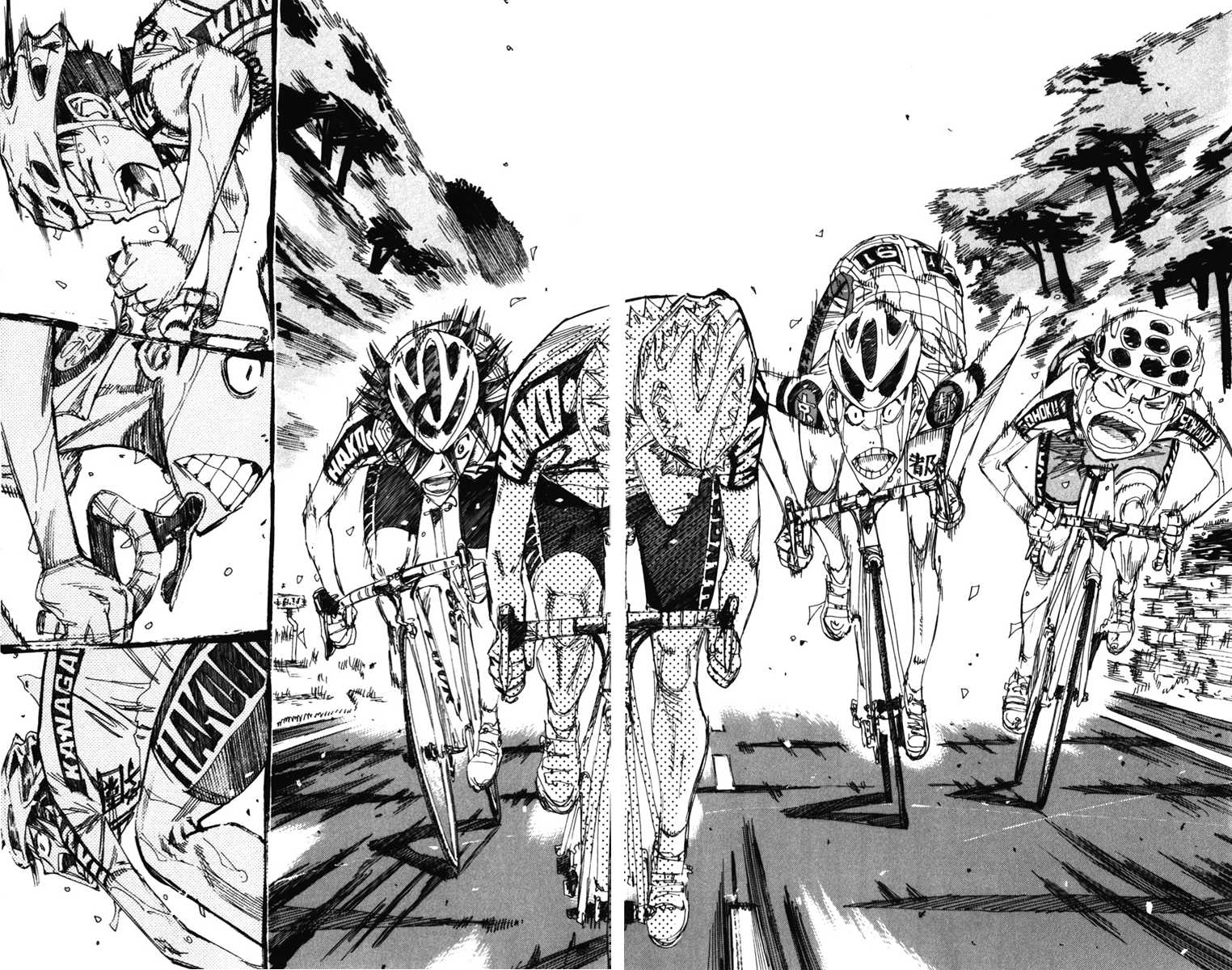 Yowamushi Pedal Chapter 207 page 13 - Chapter 207: The End!!!