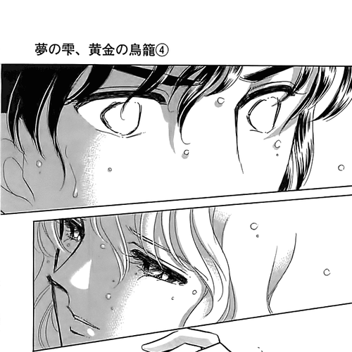Yume no Shizuku, Ougon no Torikago Chapter 13 cover