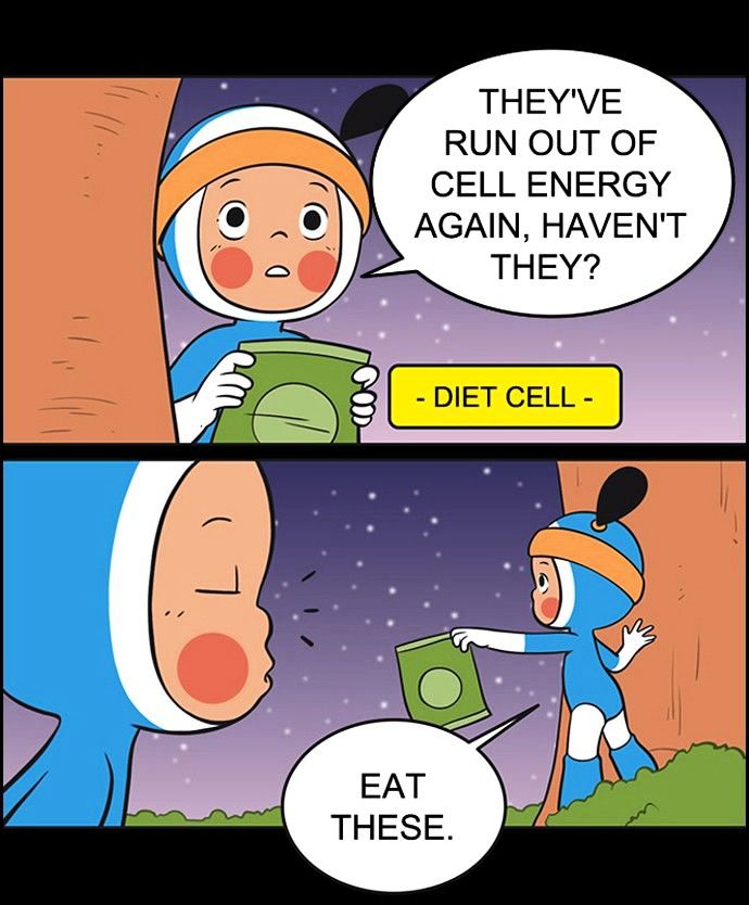 Yumi's Cells Chapter 110 page 16 - Chapter 110