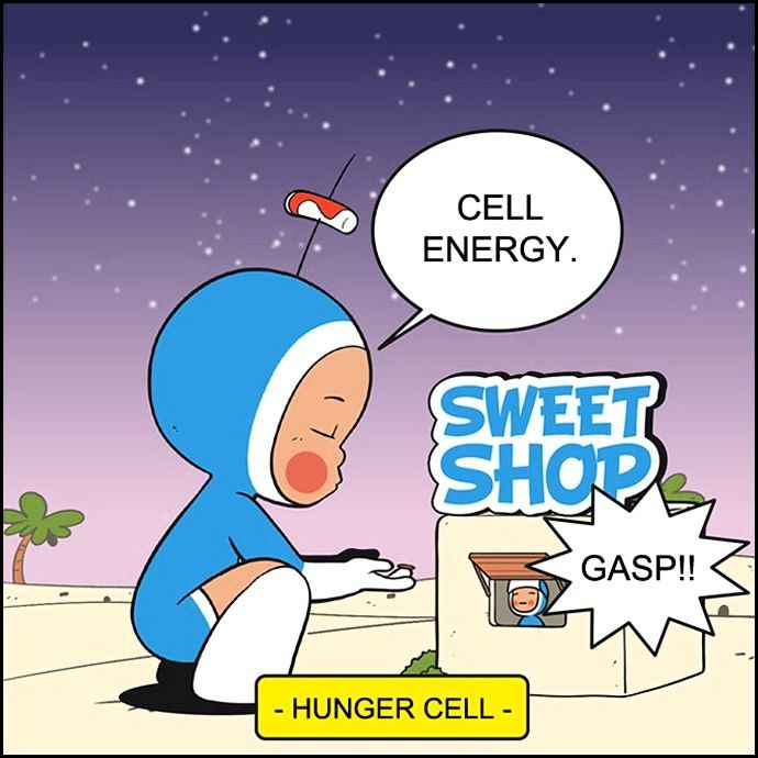 Yumi's Cells Chapter 110 page 2 - Chapter 110