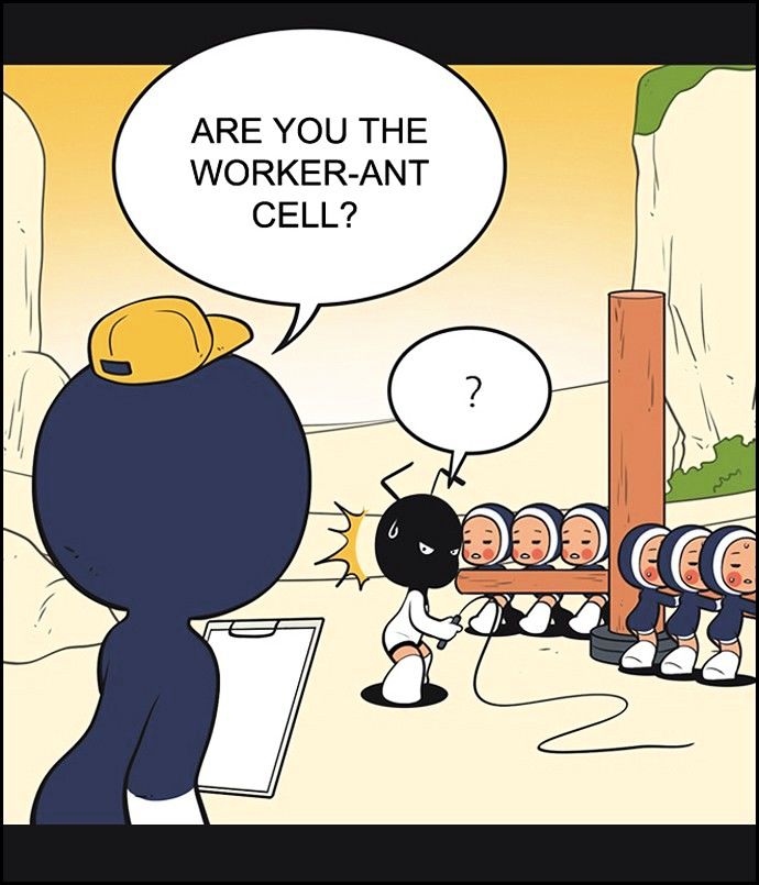 Yumi's Cells Chapter 118 page 12 - Chapter 118 : The Compliement Package