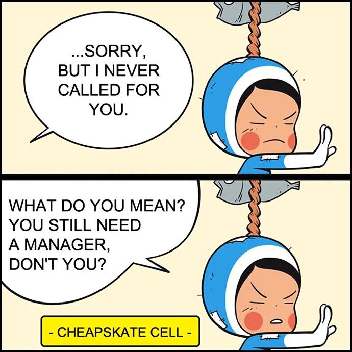 Yumi's Cells Chapter 129 page 23 - Chapter 129 : To Where