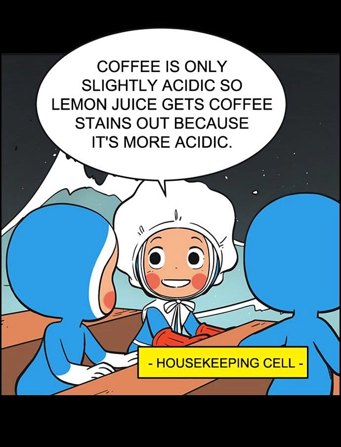 Yumi's Cells Chapter 209 page 4 - Chapter 209