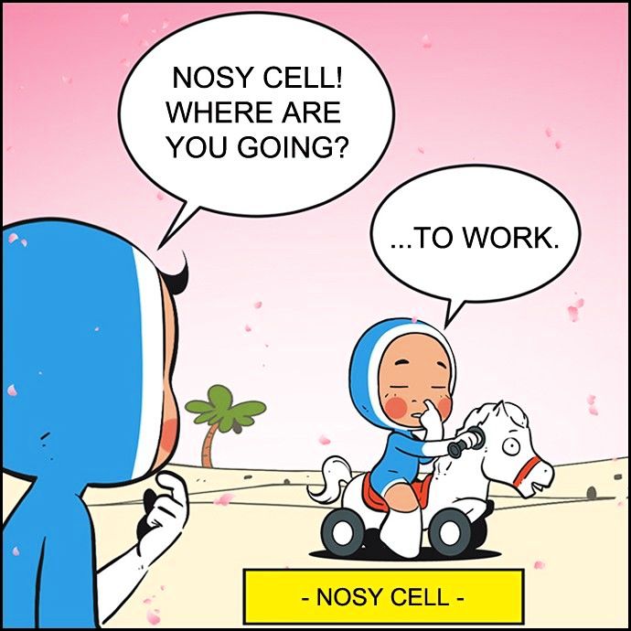 Yumi's Cells Chapter 253 page 29 - Chapter 253