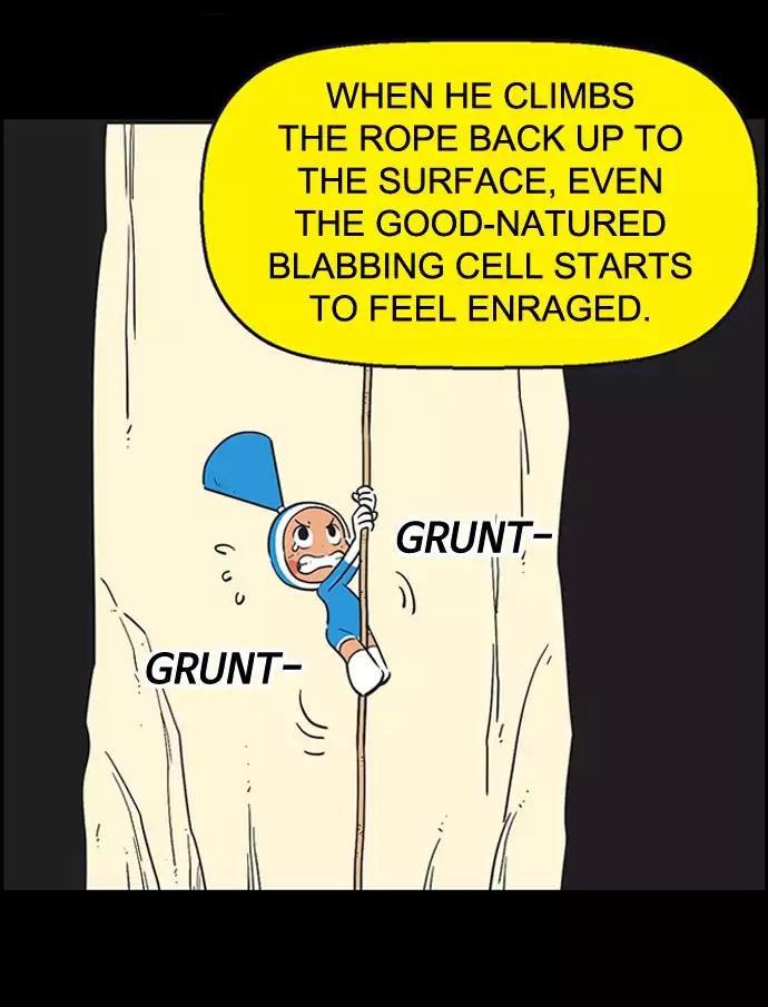 Yumi's Cells Chapter 265 page 14 - Chapter 265