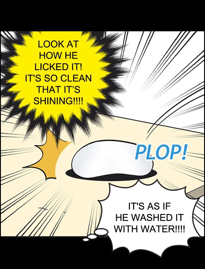 Yumi's Cells Chapter 275 page 29 - Chapter 275