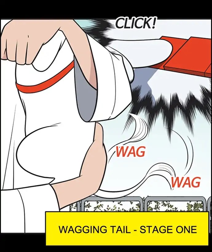 Yumi's Cells Chapter 372 page 19 - Chapter 372: Connecting Link 4