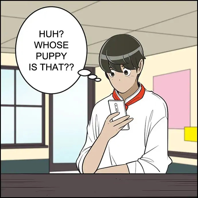Yumi's Cells Chapter 372 page 31 - Chapter 372: Connecting Link 4