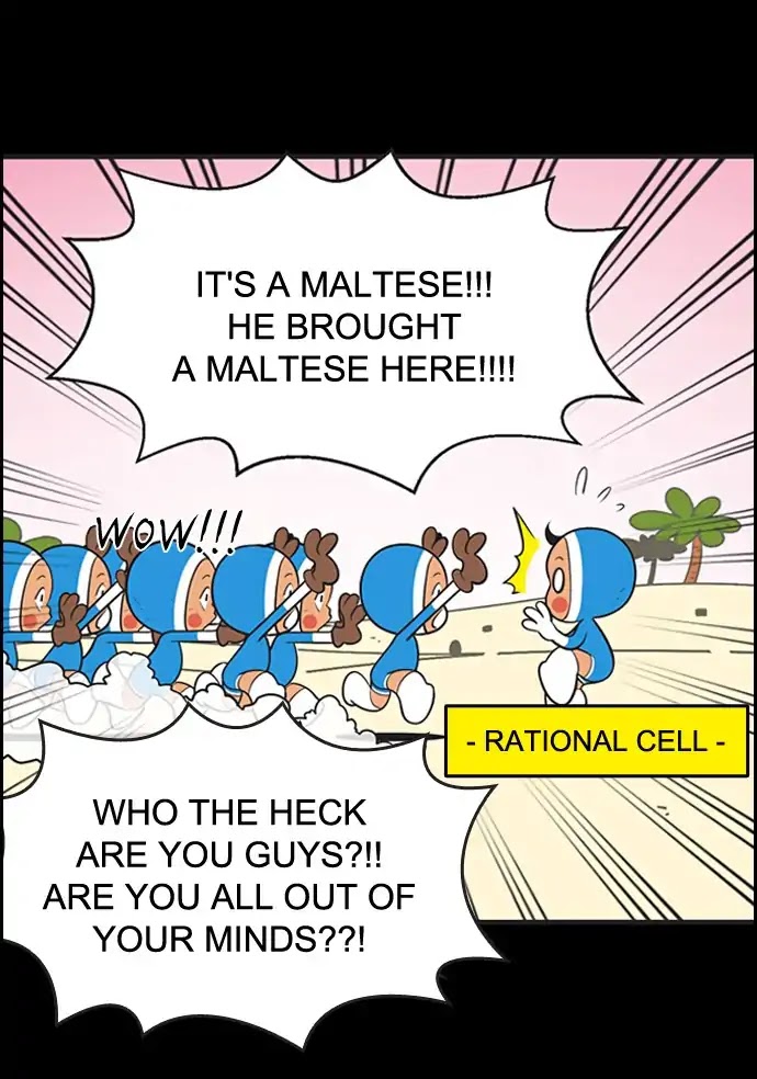 Yumi's Cells Chapter 372 page 9 - Chapter 372: Connecting Link 4
