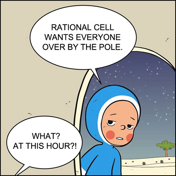 Yumi's Cells Chapter 45 page 4 - Chapter 45