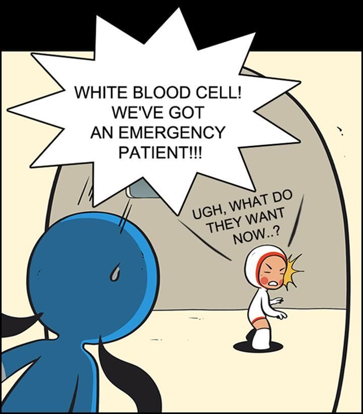 Yumi's Cells Chapter 52 page 1 - Chapter 52